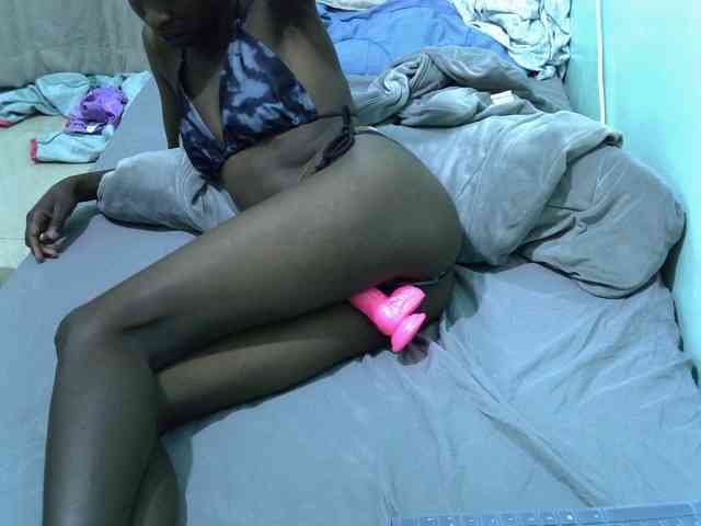 Slim-sheddy webcam