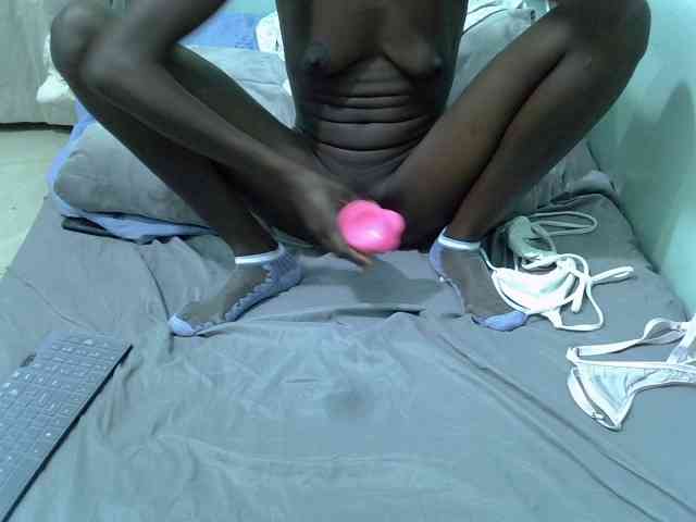 Slim-sheddy webcam