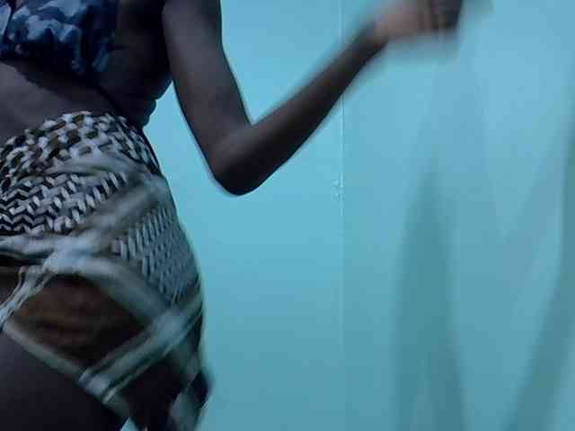 Slim-sheddy webcam