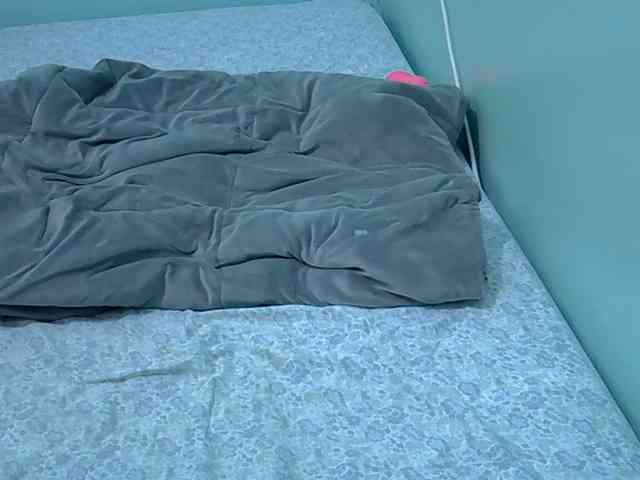 Slim-sheddy webcam