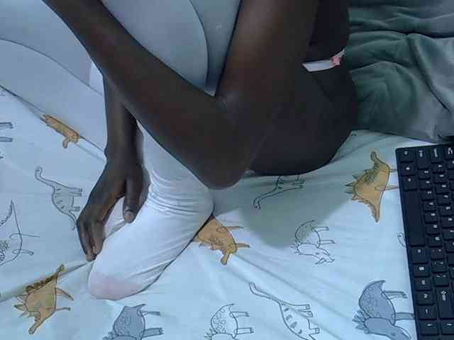 Slim-sheddy webcam