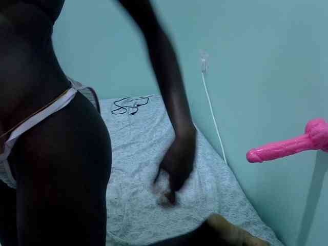 Slim-sheddy webcam