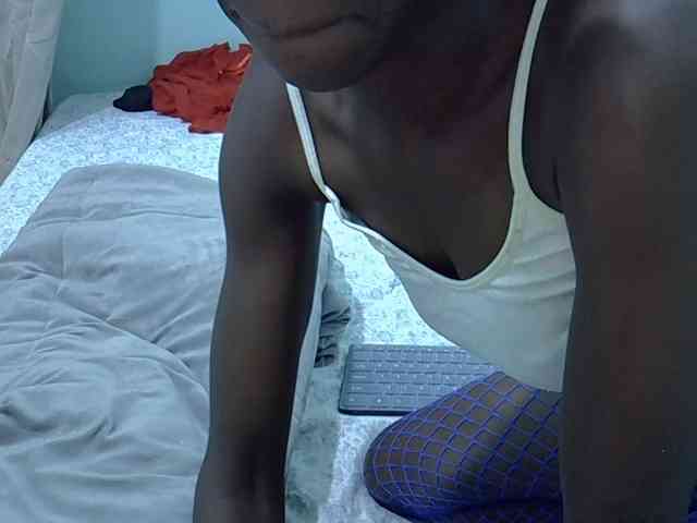 Slim-sheddy webcam
