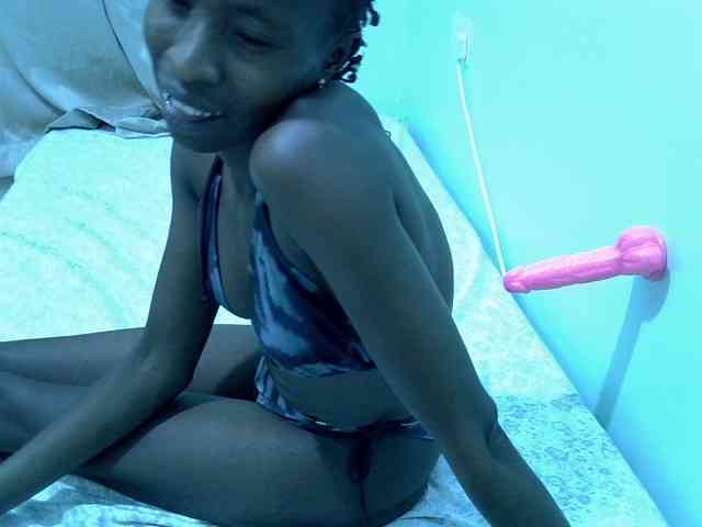 Slim-sheddy webcam