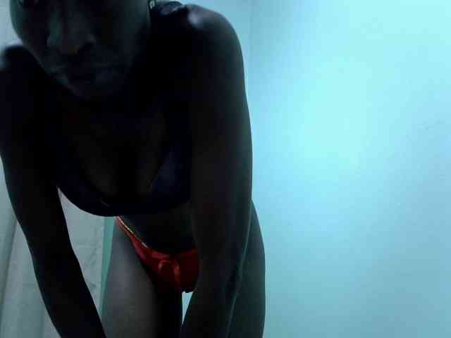 Slim-sheddy webcam
