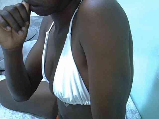 Slim-sheddy webcam