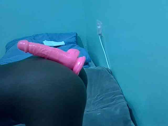 Slim-sheddy webcam