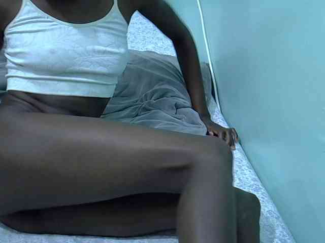 Slim-sheddy webcam