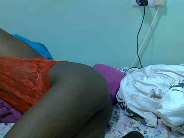 Slim-sheddy webcam