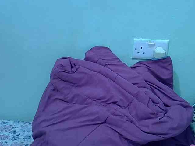 Slim-sheddy webcam