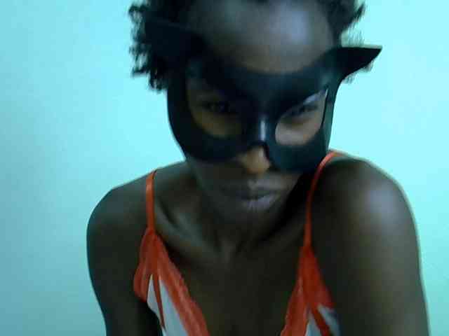 Slim-sheddy webcam
