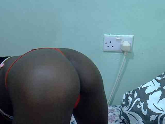 Slim-sheddy webcam