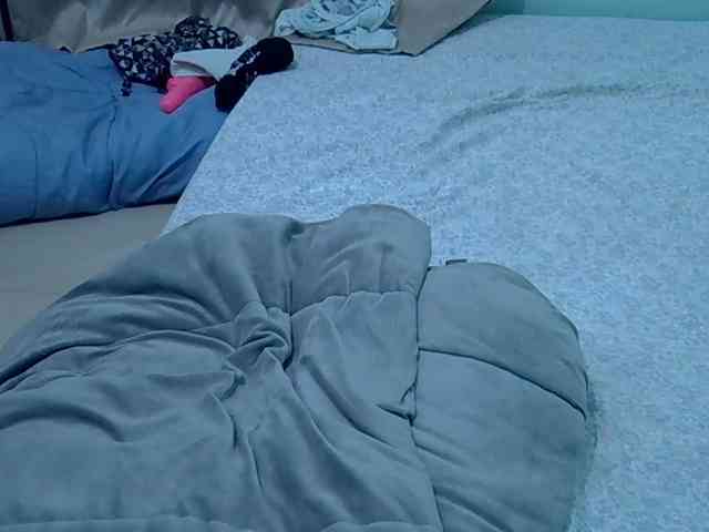 Slim-sheddy webcam