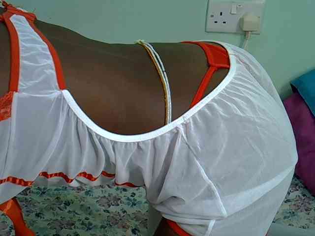 Slim-sheddy webcam