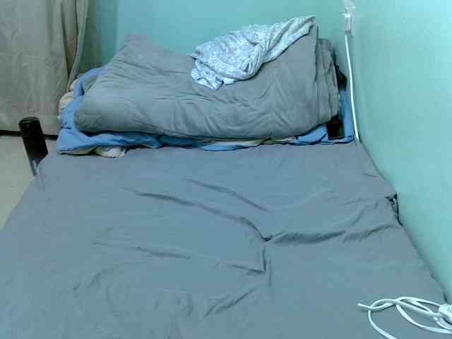 Slim-sheddy webcam