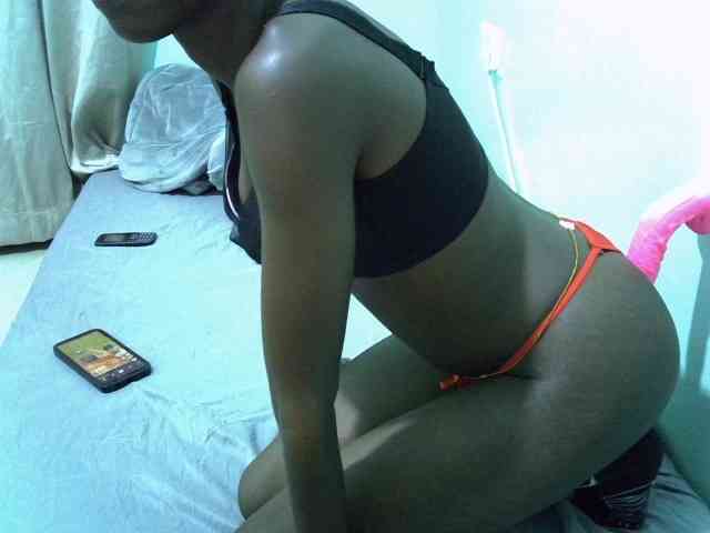 Slim-sheddy webcam