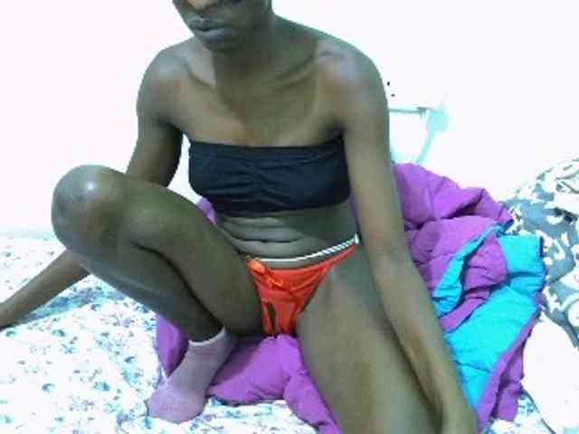 Slim-sheddy webcam