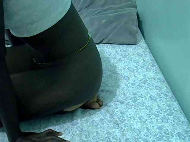 Slim-sheddy webcam