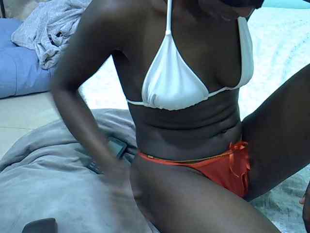 Slim-sheddy webcam