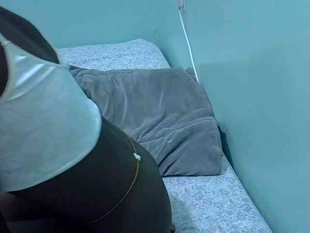 Slim-sheddy webcam