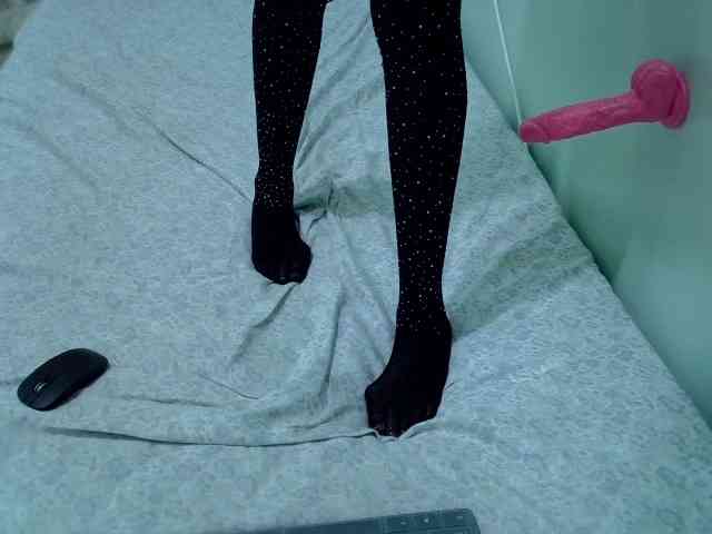 Slim-sheddy webcam