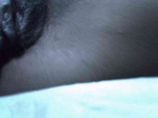 Slim-sheddy webcam