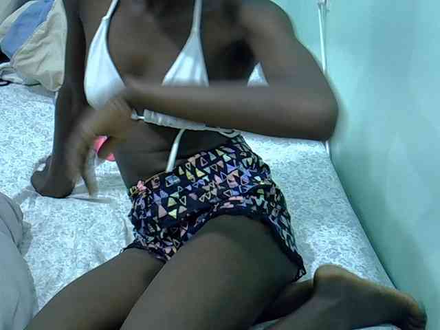 Slim-sheddy webcam