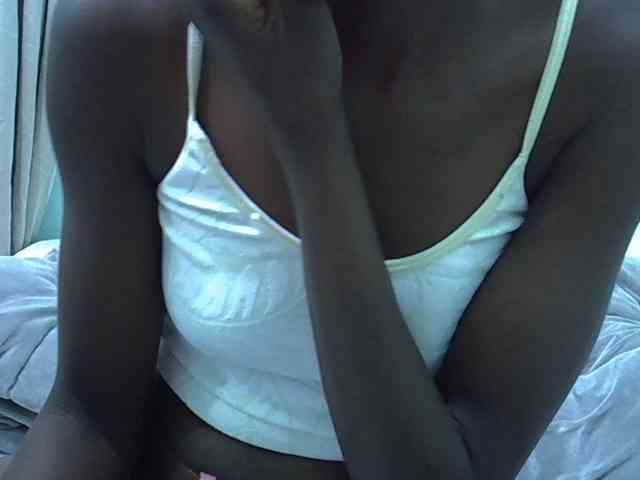 Slim-sheddy webcam