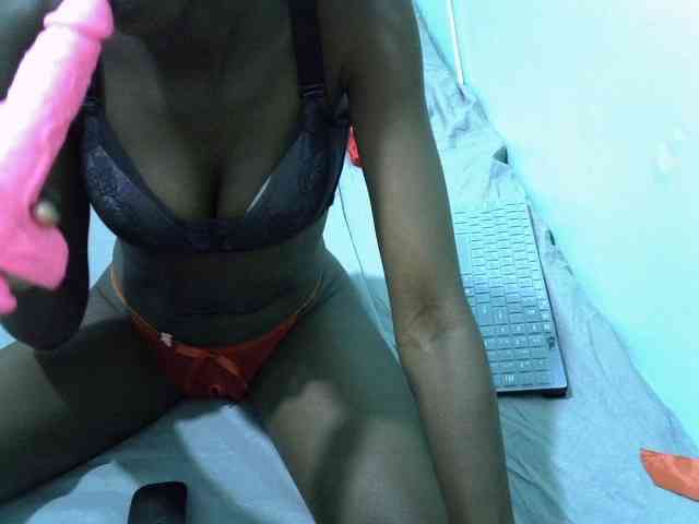 Slim-sheddy webcam