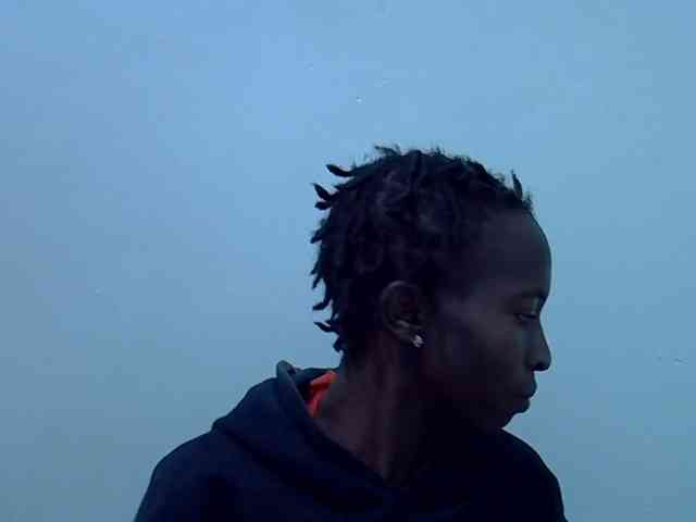 Slim-sheddy webcam