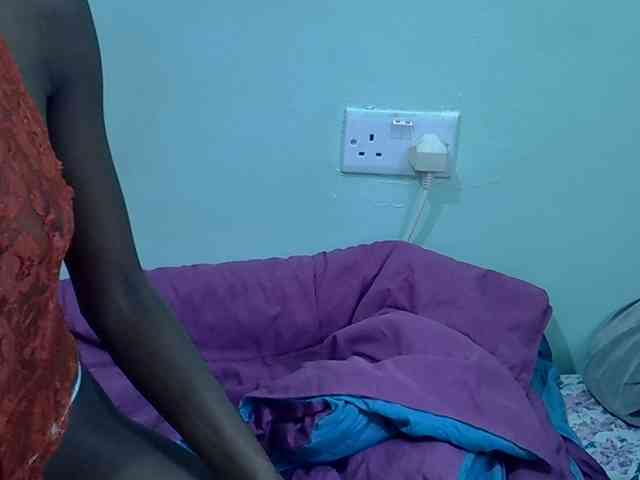 Slim-sheddy webcam