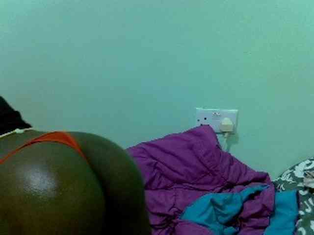 Slim-sheddy webcam