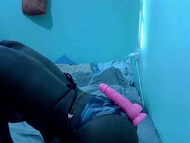 Slim-sheddy webcam