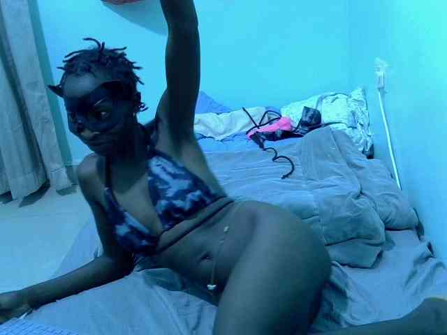 Slim-sheddy webcam