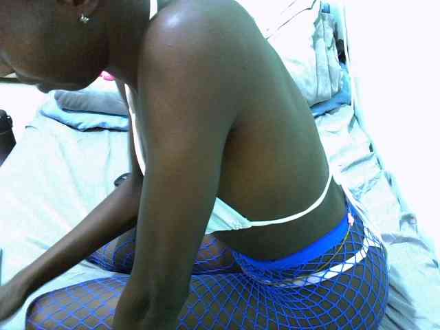 Slim-sheddy webcam