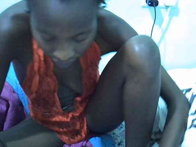 Slim-sheddy webcam