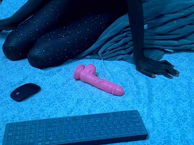 Slim-sheddy webcam