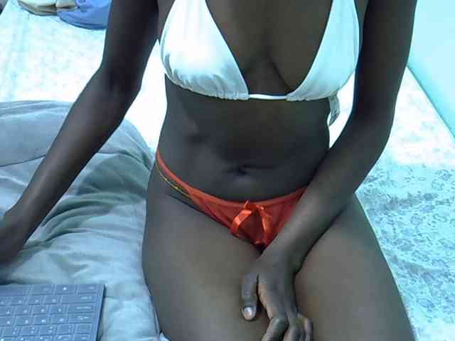 Slim-sheddy webcam