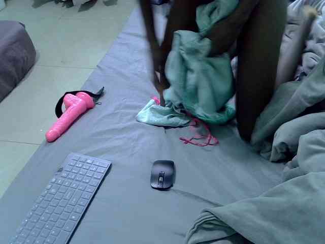 Slim-sheddy webcam