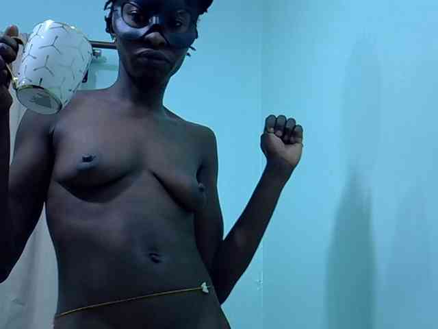 Slim-sheddy webcam