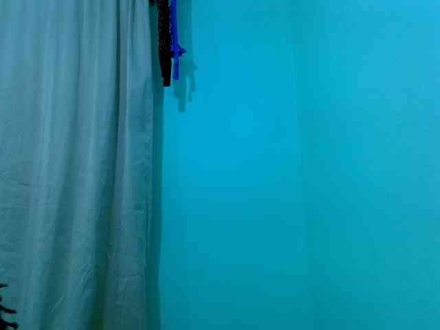 Slim-sheddy webcam