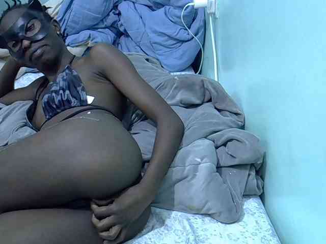 Slim-sheddy webcam