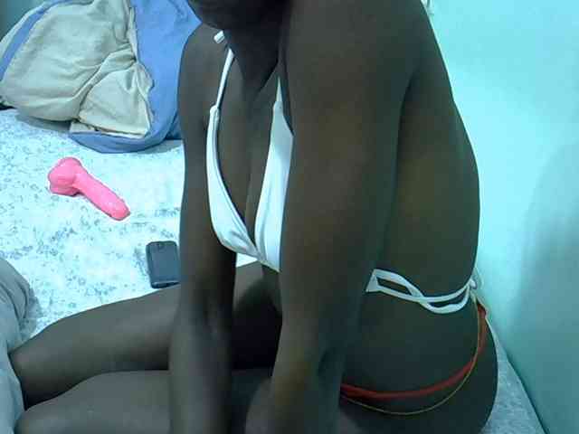 Slim-sheddy webcam
