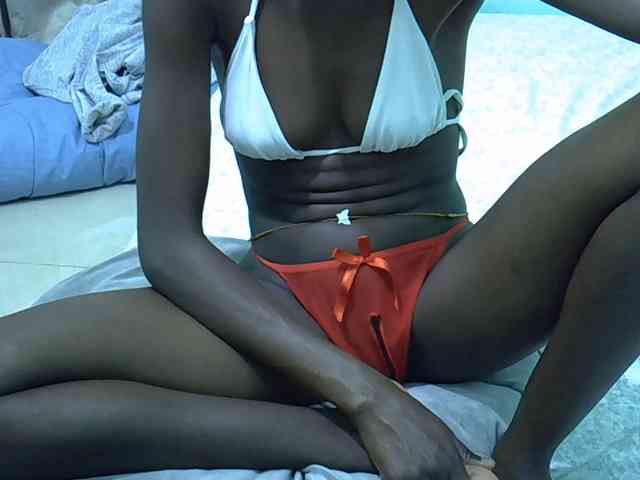 Slim-sheddy webcam