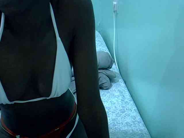 Slim-sheddy webcam