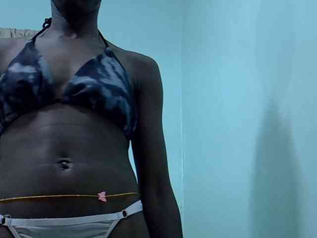 Slim-sheddy webcam