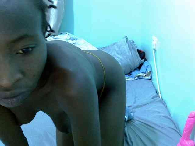 Slim-sheddy webcam