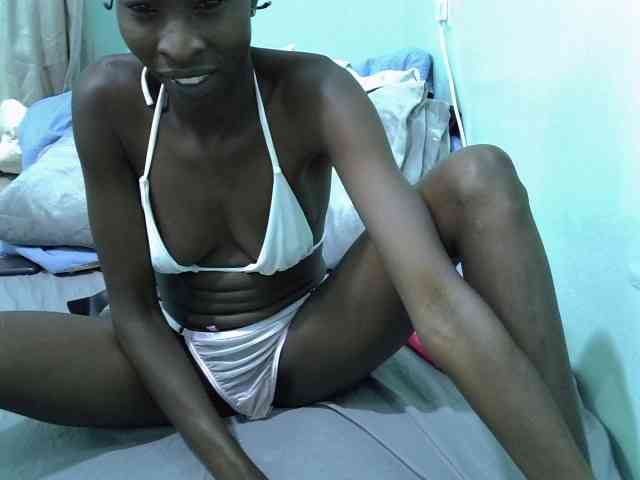 Slim-sheddy webcam