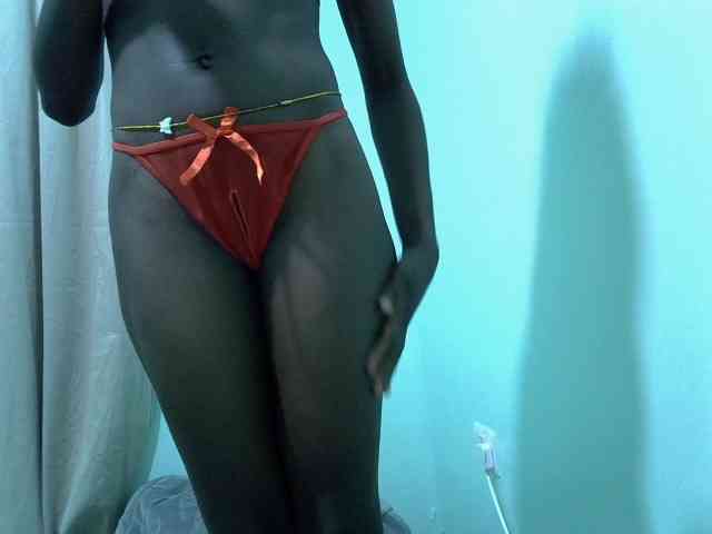 Slim-sheddy webcam