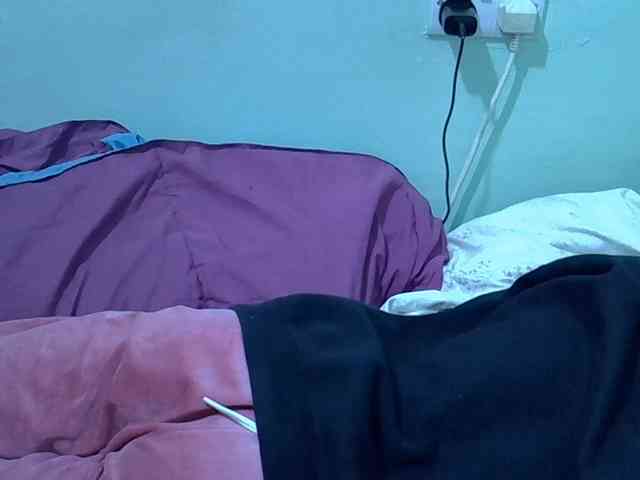 Slim-sheddy webcam